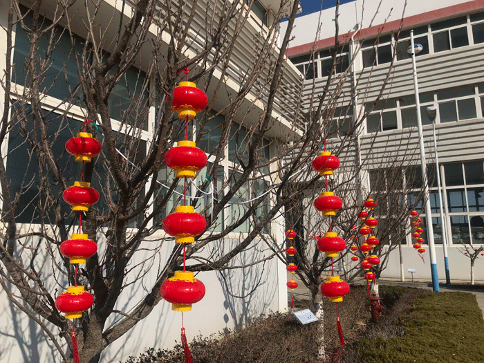 烟台博鱼(中国)化工恭祝大家2021牛年行大运